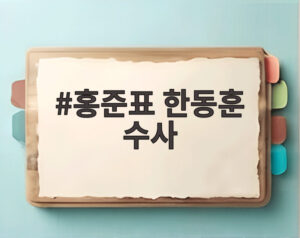 홍준표 한동훈 수사