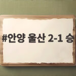 안양 울산 2-1 승 마테우스 엘쿠라노 그리고 김정훈의 슈퍼 세이브 안양 울산 2-1 승