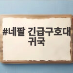 네팔 긴급구호대 귀국