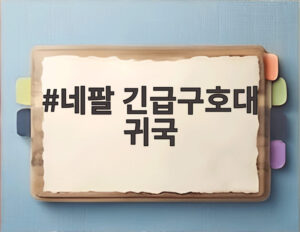 네팔 긴급구호대 귀국