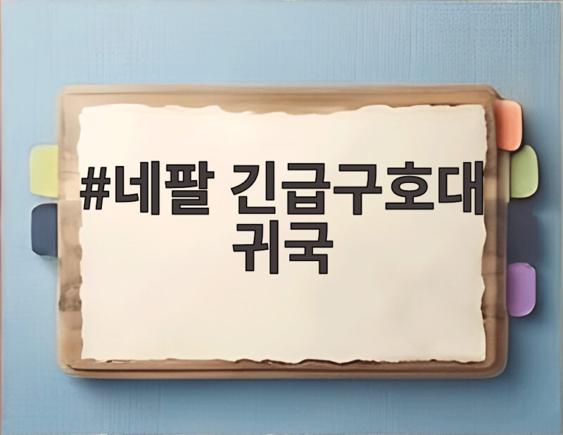 네팔 긴급구호대 귀국
