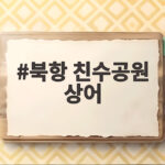 북항 친수공원 상어