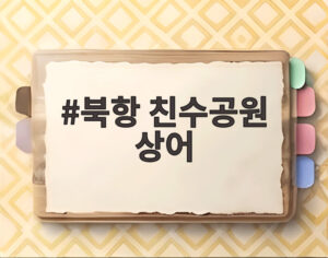 북항 친수공원 상어