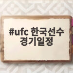 ufc 한국선수 경기일정