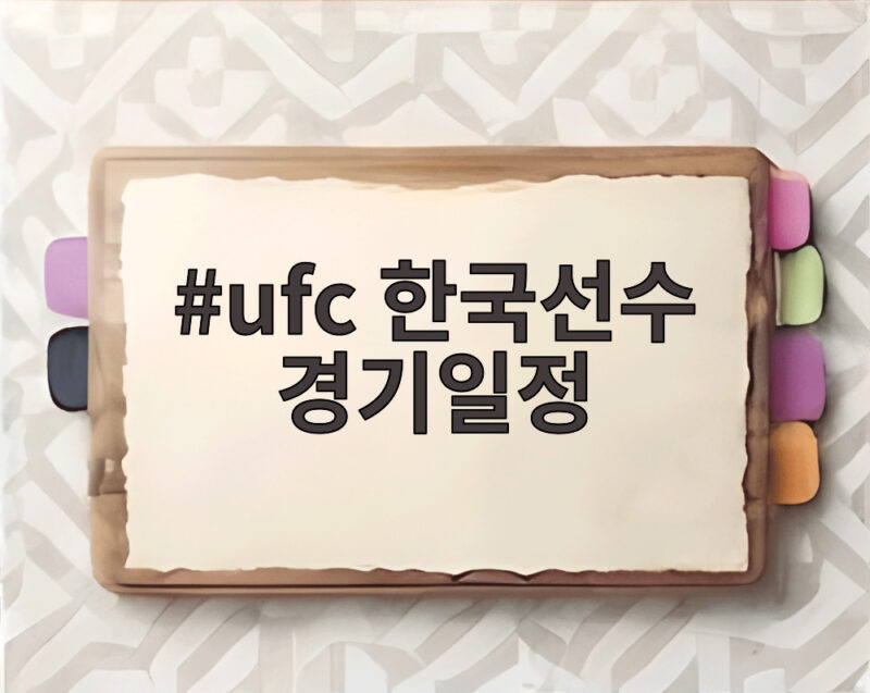 ufc 한국선수 경기일정