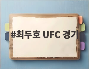 최두호 UFC 경기