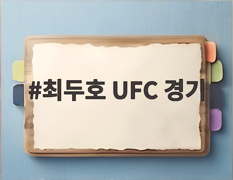 최두호 UFC 경기