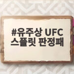 유주상 UFC 스플릿 판정패 11개월 만의 복귀전에서 배울 점 유주상 UFC 스플릿 판정패