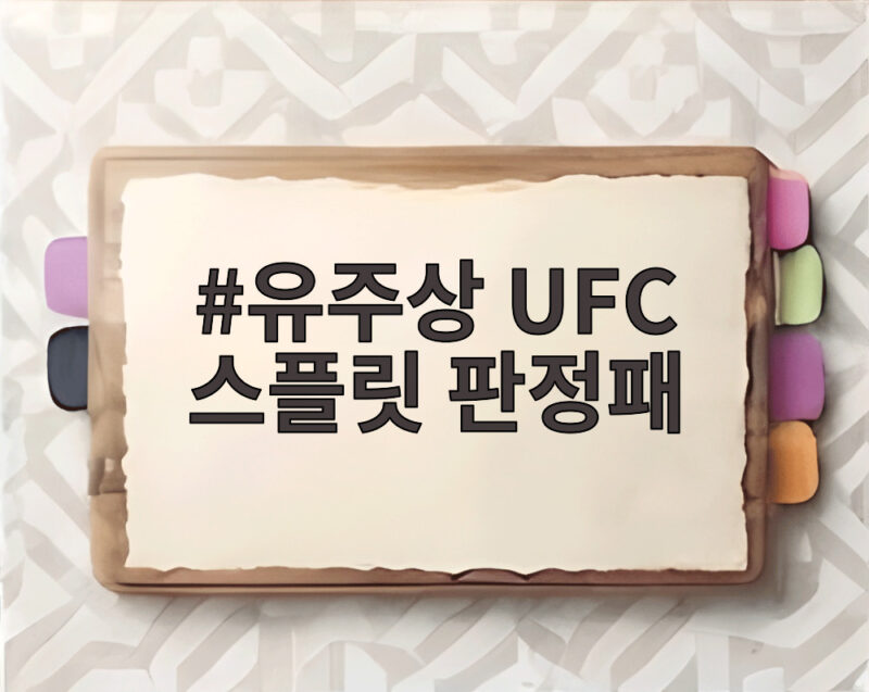 유주상 UFC 스플릿 판정패 11개월 만의 복귀전에서 배울 점 1 유주상 UFC 스플릿 판정패