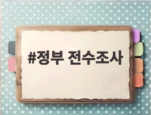 정부 전수조사