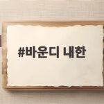 바운디 내한
