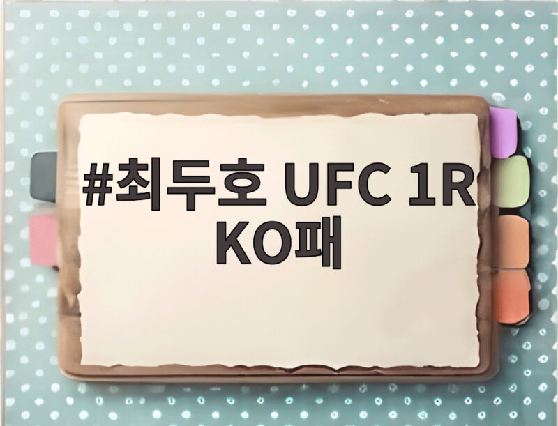 최두호 UFC 1R KO패