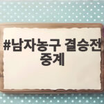 남자농구 결승전 중계 12년 만의 한일전 금메달 도전 생방송 보는 방법 남자농구 결승전 중계