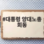 대통령 양대노총 회동 메가특구법과 정년연장 어디까지 논의됐나 대통령 양대노총 회동
