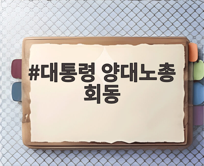 대통령 양대노총 회동 메가특구법과 정년연장 어디까지 논의됐나 1 대통령 양대노총 회동