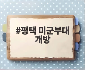 평택 미군부대 개방