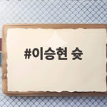 이승현 슛이 만든 금메달 12년 만에 아시아 정상에 서다 이승현 슛