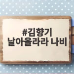 김향기 날아올라라 나비