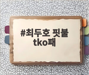 최두호 핏불 tko패