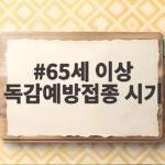 65세 이상 독감예방접종 시기 놓치면 늦어요 꼭 확인하세요 65세 이상 독감예방접종 시기