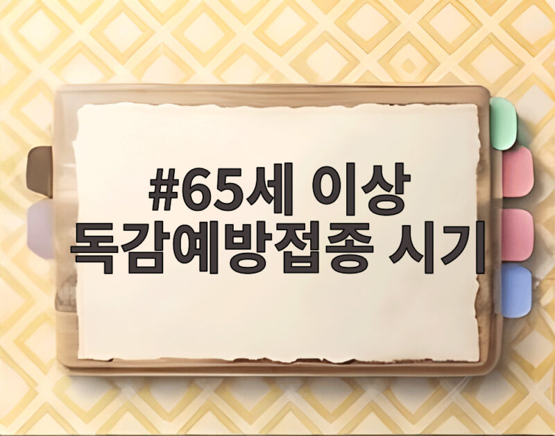 65세 이상 독감예방접종 시기 놓치면 늦어요 꼭 확인하세요 1 65세 이상 독감예방접종 시기