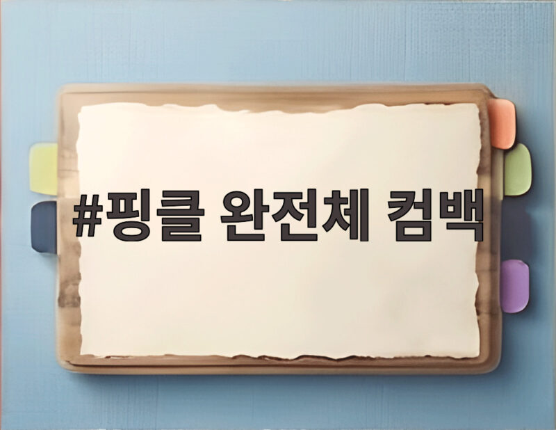 핑클 완전체 컴백