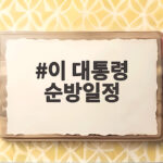 이 대통령 순방일정 미국과 멕시코 5박 7일 일정 전격 공개 이 대통령 순방일정
