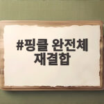 핑클 완전체 재결합 21년 만에 돌아온 1세대 걸그룹 활동 소식 핑클 완전체 재결합
