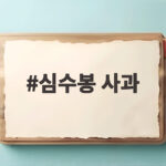 심수봉 사과 17세 김다현 저격 논란 전말 공식 입장 전문 자세히 확인하기 심수봉 사과