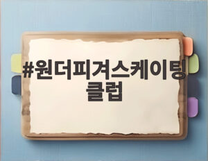 원더피겨스케이팅클럽