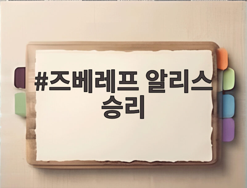 즈베레프 알리스 승리