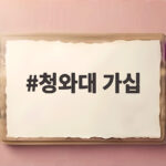 청와대 가십이라는 말에 담긴 인사 검증 불신과 설명 책임 청와대 가십