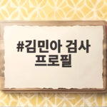 김민아 검사 프로필 이런 사람이었네 검사 출신 방송인 활동까지 김민아 검사 프로필