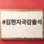김현지국감출석 요구 인사 농단 진실 밝혀질까 김현지국감출석