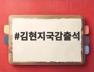 김현지국감출석