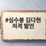 심수봉 김다현 저격 발언, 사과와 논란 그리고 트로트의 미래 심수봉 김다현 저격 발언