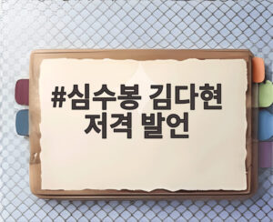 심수봉 김다현 저격 발언