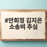 안희정 김지은 소송비 추심 논란 충남도는 왜 피해자에게 청구했나 안희정 김지은 소송비 추심
