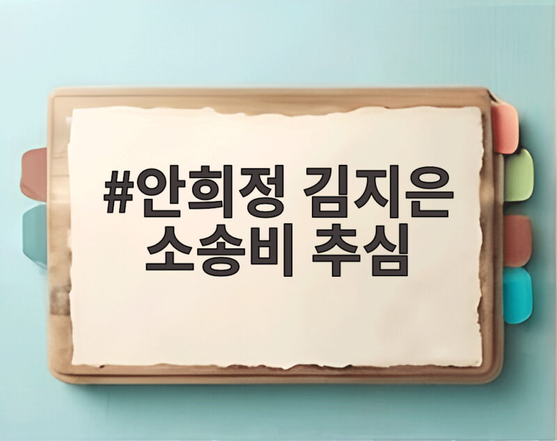 안희정 김지은 소송비 추심 논란 충남도는 왜 피해자에게 청구했나 1 안희정 김지은 소송비 추심