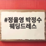 정을영 박정수 웨딩드레스