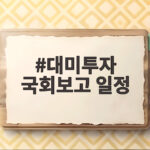 대미투자 국회보고 일정