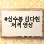 심수봉 김다현 저격 영상