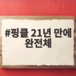핑클 21년 만에 완전체