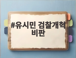 유시민 검찰개혁 비판