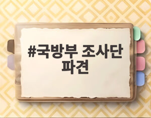 국방부 조사단 파견