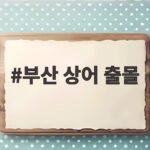 부산 상어 출몰 닷새째, 도심 수로에 갇힌 상어 왜 못 나가나 부산 상어 출몰