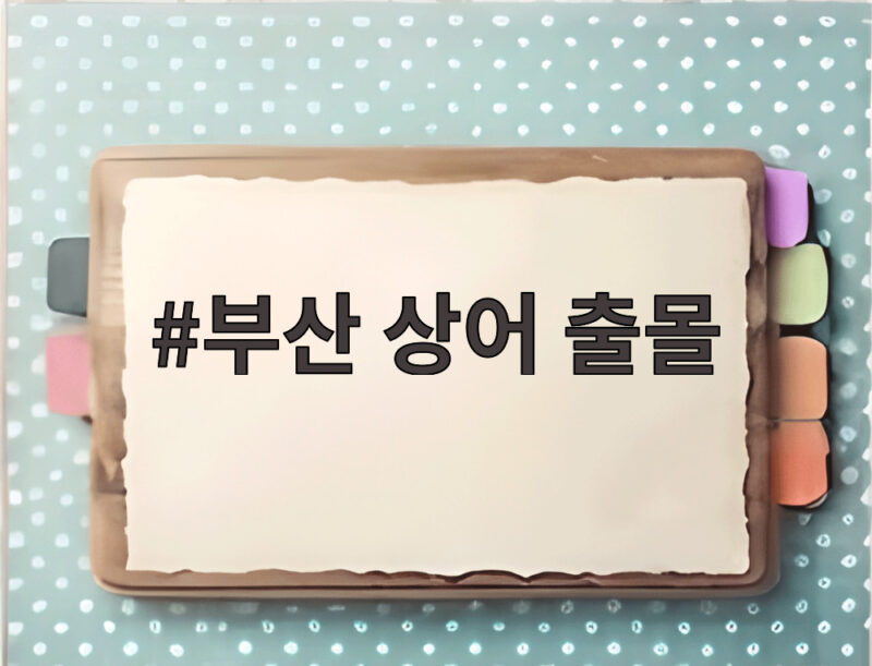 부산 상어 출몰