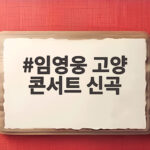 임영웅 고양 콘서트 신곡 또또와 새 앨범 전곡 무대 및 발매 일정을 확인하기 임영웅 고양 콘서트 신곡