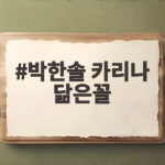 박한솔 카리나 닮은꼴 김상겸 아내 미모에 시청자들 반응 보니 박한솔 카리나 닮은꼴
