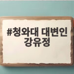 청와대 대변인 강유정 전세 정정 발언과 인사 검증 이야기 청와대 대변인 강유정
